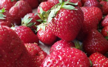 The Health Benefits of Strawberries