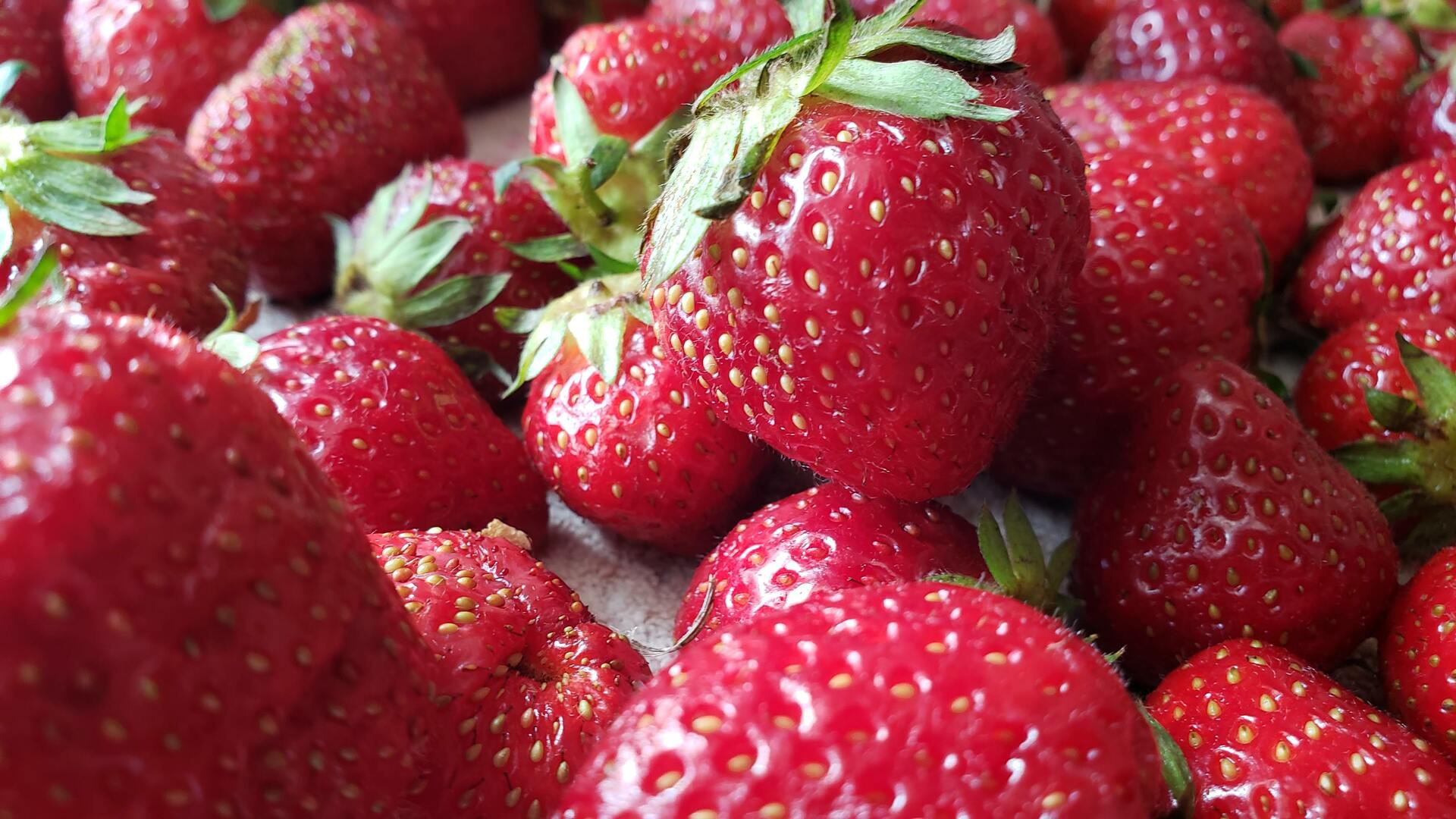 The Health Benefits of Strawberries A