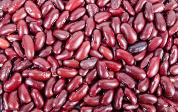 4 Dangerous Foods to Avoid in the Kitchen